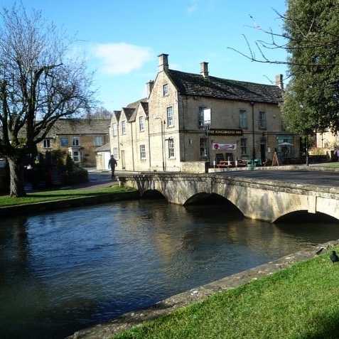 2019年度の合格実績をご紹介します。