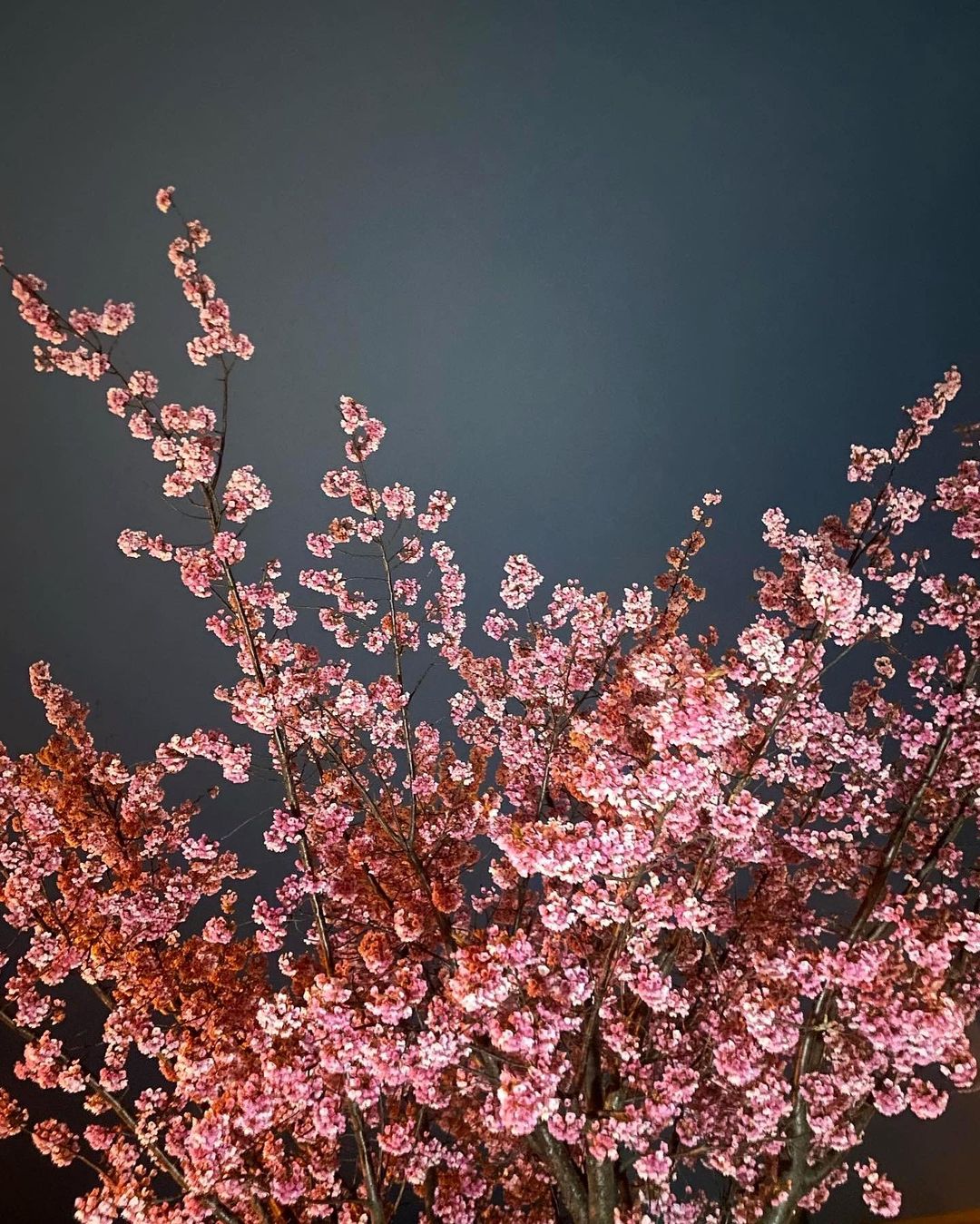 ㊗️神戸学院大学、合格おめでとう！！2